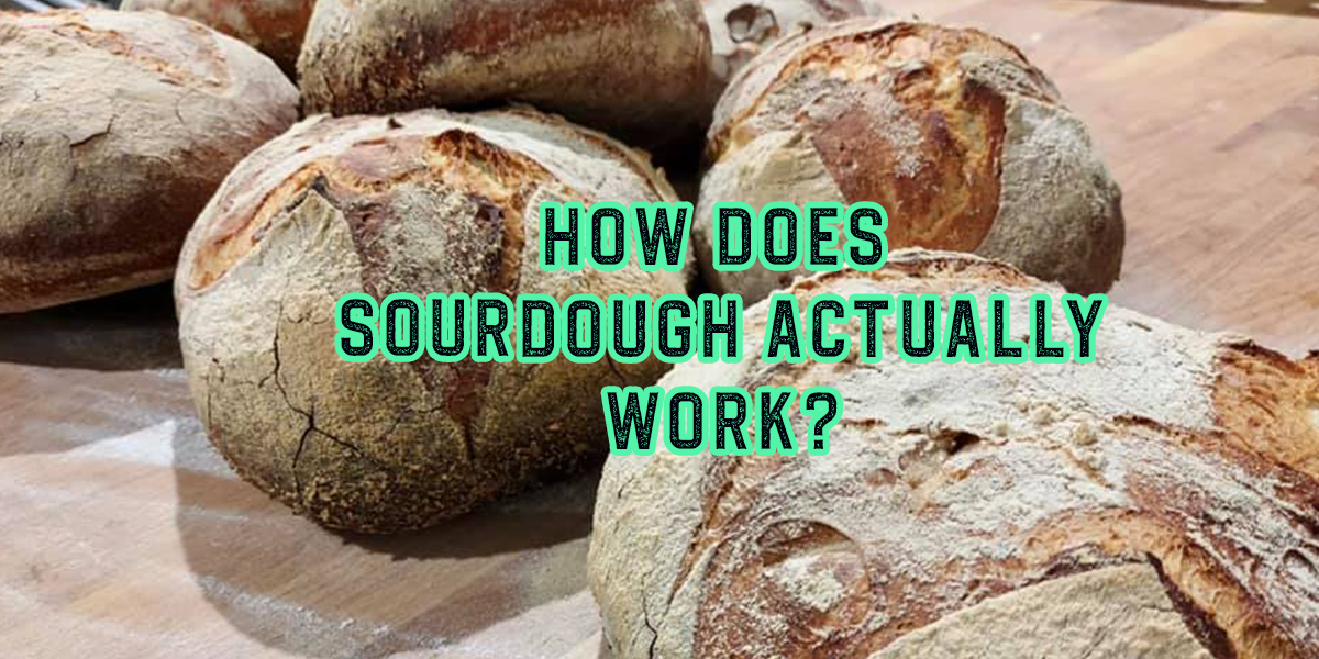 This is How Sourdough Bread Actually Works