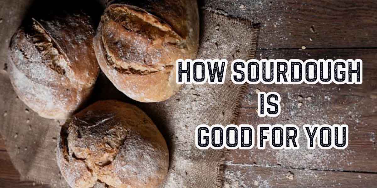 Eating Wheat Sourdough is Good For your Body